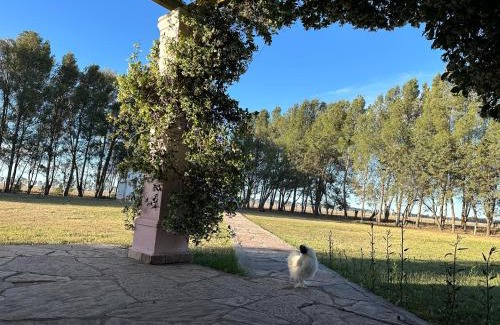 Partido de Bahia Blanca Villa | Discover Casaquinta Haras El Tropicano: Poolside Getaway