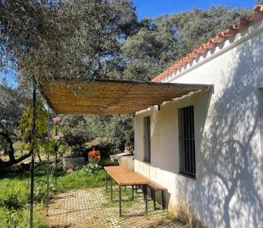 Aracena House | Casaracena