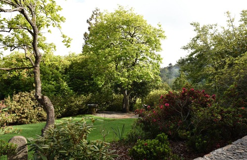 Camacha House | Experience Rural Bliss at Casas de Pedra - The Magnolia