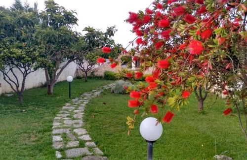 Trepuzzi House | Discover Casa Vacanza nel Salento: Pet & Child Friendly Stay