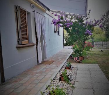 San Giovanni In Marignano Bed & Breakfast | Unforgettable Stays at CasaVittorio: Pet Friendly & Cozy