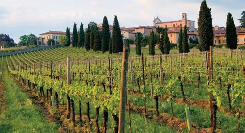 Cazzago San Martino Apartment | CasaViva - Beautiful Two-Bedroom Retreat in Franciacorta