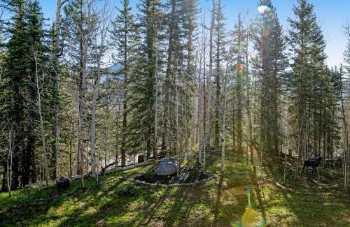 Purgatory Apartment | Welcome to Cascade 347: Family-Focused Retreat with Pool