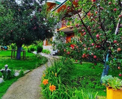 Manali Bed & Breakfast | Pet-Friendly Cascade Mountain Retreat with Ocean View