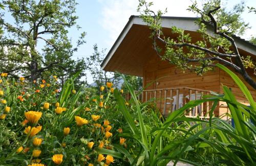 Manali Bed & Breakfast | Pet-Friendly Cascade Mountain Retreat with Ocean View