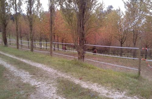 Castelnuovo don Bosco House | Discover Cascina Barosca: Pet Friendly & Family Welcoming