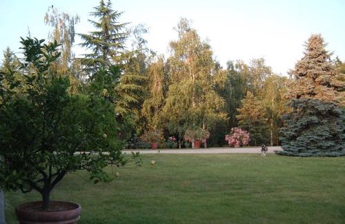 Castelnuovo don Bosco House | Discover Cascina Barosca: Pet Friendly & Family Welcoming