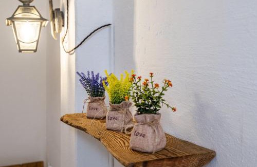 Martellago House | Cascina Ca' Storta - 15 minute to Venice