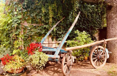 Sabbio Chiese Apartment | Pet-Friendly Retreat at Cascina Canale - Rated 9.4/10