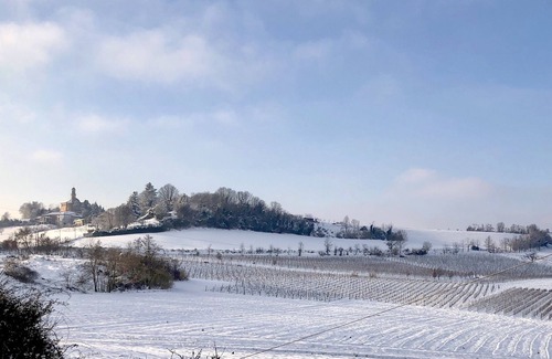 Casorzo House | Cascina Costabella - A Garden in the heart of Monferrato