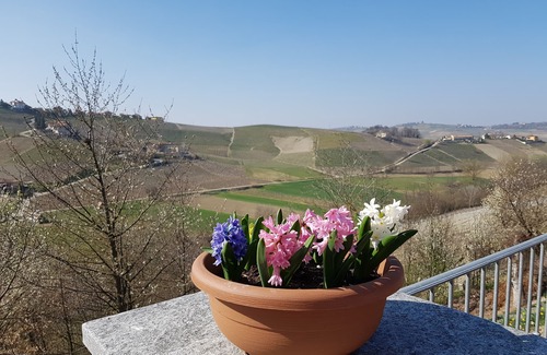 Castiglione Tinella Apartment | Alba's Cascina del Noce: Rated 10/10 with Pool & Spa