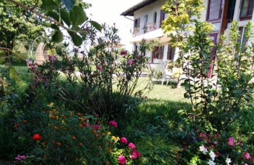 Novello House | Experience Cascina Linét: Oceanfront Retreat with Pool
