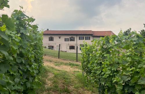 Farigliano Apartment | Discover Cascina Mabette: Pet & Child Friendly Getaway