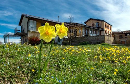 Dogliani Apartment | Explore Cascina Nomade: Rated 9.6, Family-Friendly Retreat