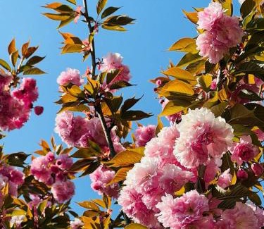 Ozzano Monferrato House | Experience Cascina Tornara: A Monferrine Retreat