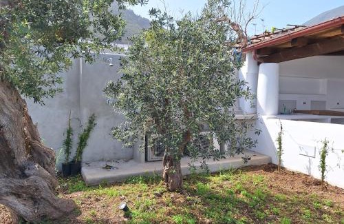 Malfa House | Discover Case a Malfa - Alba & Rosina, Isola Salina