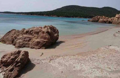 Pianotolli-Caldarello House | Enjoy Caseddu pieds dans l'eau: Family & Pet-Friendly Retreat
