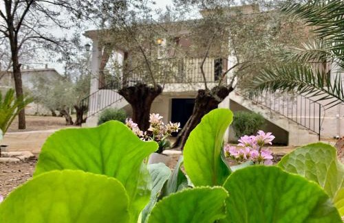Baeza House | Relax at Casería San José: Oceanfront Gem with Pool