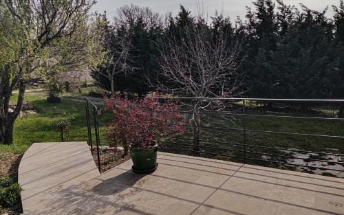 Malemort-du-Comtat House | Casetta