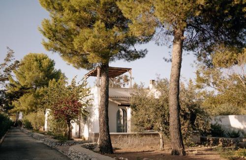 Sava House | Serene Oceanfront Escape at Casette Masseria La Camardia