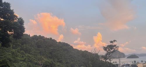 El Nido House | Cashew Blossom Boutique Guest Home