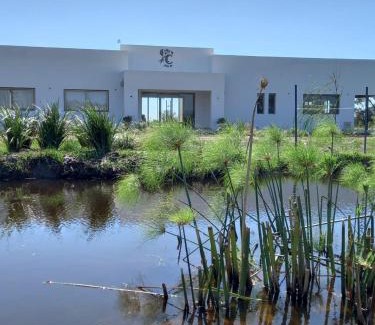 Colonia Carlos Pellegrini Hotel | Oceanfront Retreat at Casimiro Ibera Hotel Boutique