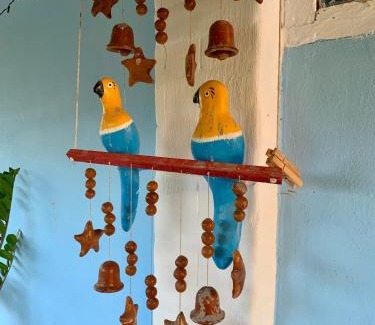 Nilo Pecanha Bed & Breakfast | Casinha da Floresta