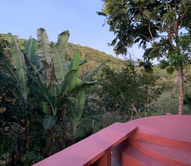 Nilo Pecanha Bed & Breakfast | Casinha da Floresta