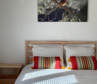 Rubiaes Ski Chalet | Pet-Friendly Casinha Rubiães with Oceanfront Views