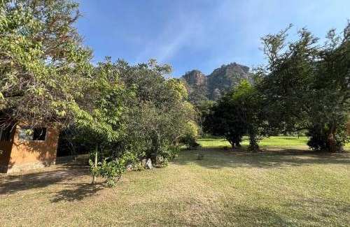 Amatlan House | Pet-Friendly Retreat at Casita de las Hadas Awaiting You