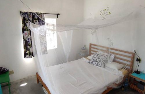 San Juanico House | Cozy Casita de Renta with Oceanfront Views and Pet-Friendly