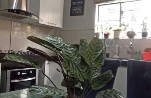 Barranco House | Delightful Casita Libertad Barranco with Spa & Breakfast