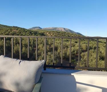 Illora Apartment | Exceptional Casita of Casa Olivar with Oceanfront Pool