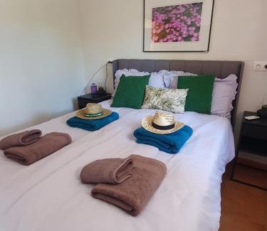 Illora Apartment | Exceptional Casita of Casa Olivar with Oceanfront Pool