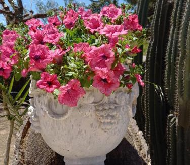 Caltagirone Bed & Breakfast | Discover Casolare del Toscano: Unforgettable Country Rooms
