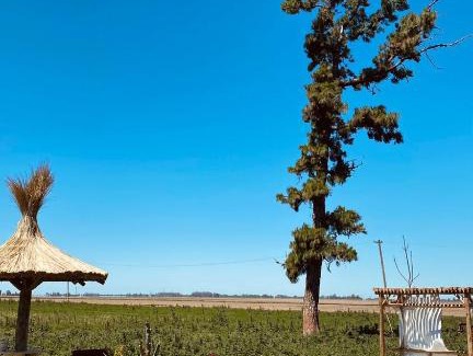 Partido de San Nicolas House | Explore Casona Doña Emilia: Pet-Friendly Retreat Awaits