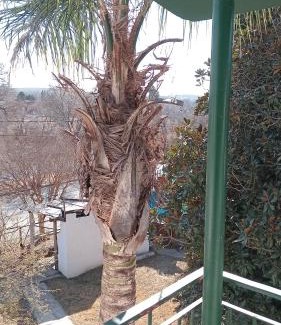 Villa Carlos Paz House | CASONA Malva del Rio