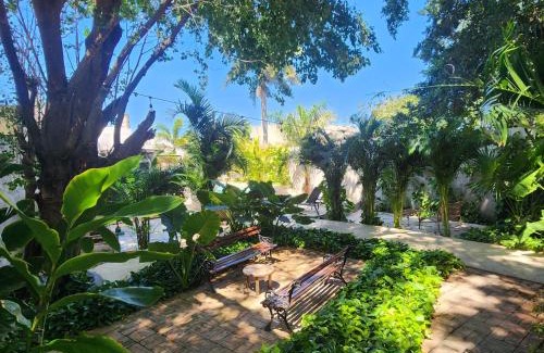 Centro Hotel | Experience Casona Origen Merida: Oceanfront Family Retreat
