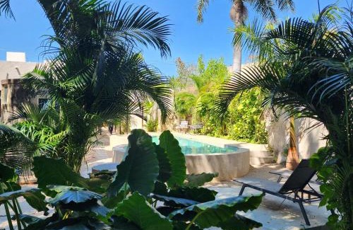 Centro Hotel | Experience Casona Origen Merida: Oceanfront Family Retreat