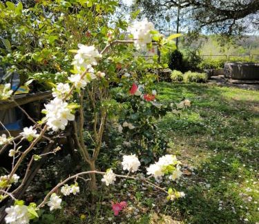 Zona LIII Tomba di Nerone Apartment | Casa Dei Leoni: Bright Open Space Surrounded by Nature
