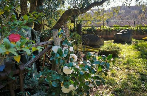 Zona LIII Tomba di Nerone Apartment | Casa Dei Leoni: Bright Open Space Surrounded by Nature