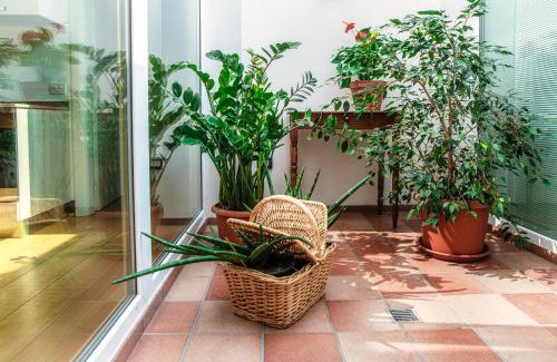 Novazzano Bed & Breakfast | Romantic Castello di Brusata Apartment with Pool & Ocean View