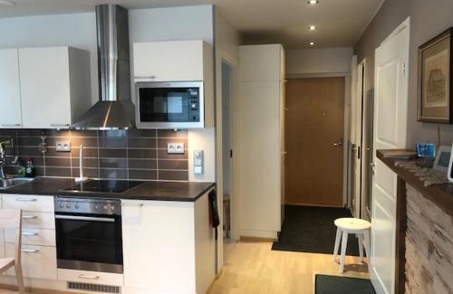 Saariselka Apartment | Exceptional Castillo Kelotähti Apartment with Hot Tub Access