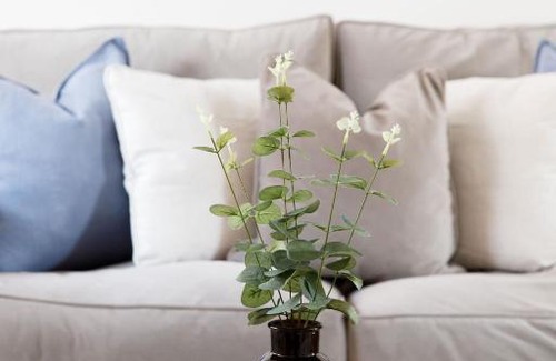 Lewes House | Discover Family-Friendly Comfort at Castle Bank Terrace