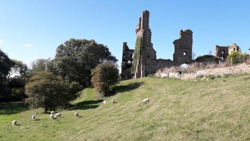 Sheriff Hutton Cabin | Exceptional Castle Lodge: Pet Friendly & Guest Rated 9.8