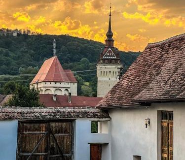 Saschiz House | Enchanting Castle View: Child-Friendly Retreat with Hot Tub