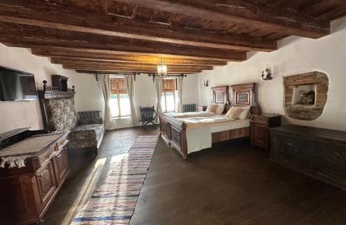 Saschiz House | Enchanting Castle View: Child-Friendly Retreat with Hot Tub