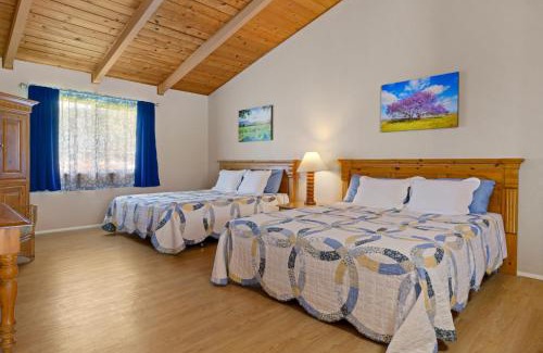 Waimea Cabin | Discover Waimea Country Lodge: Family-Friendly Retreat