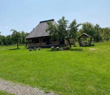 Breb House | Top-Rated Căsuța din Gradina: Family-Friendly Retreat