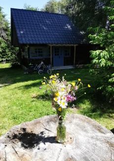 Risca Ski Chalet | Relax at Casuta dintre brazi - Pet & Child Friendly Retreat